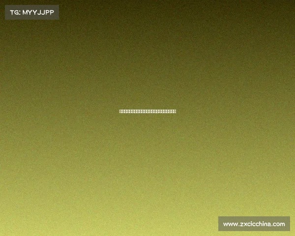 法国足球甲级联赛：新赛季豪门对决与崭新挑战解析